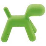 Puppy, XL, green