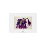 Louisiana Museum of Modern Art Inge Ellegaard - Amaryllis 22 1993, A3 poster, product image
