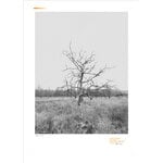 Fiskars LAB Fiskars LAB wall poster, 50 x 70 cm, Oak, product image
