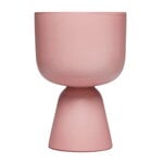 Iittala Nappula maceta, S, rosa mate, imagen del producto