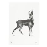 Teemu Järvi Illustrations Poster Deer, 70 x 50 cm