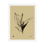 Teemu Järvi Illustrations Lily of the Valley poster 30 x 40 cm, sand