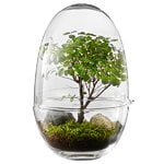 Design House Stockholm Mini-serre Grow, L