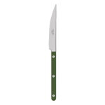 Sabre Paris Bistrot Solid dinner knife, green, product image