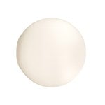 Artemide Dioscuri 25 wall/ceiling lamp, product image