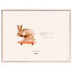MADO Rocky the Rabbit juliste 40 x 30 cm