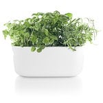 Eva Solo Vaso per erbe, autoinnaffiante, bianco, immagine prodotto