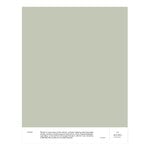 Cover Story Paint sample, 026 AGATHA - green-grey