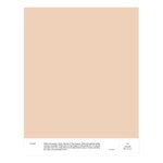 Cover Story Interior paint, 9 L, 024 ANAIS - mid powder