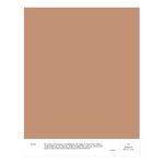 Cover Story Interior paint, 9 L, 022 EVELYN - mid rose-brown