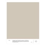 Cover Story Interior paint, 3,6 L, 020 FRANZ - greige