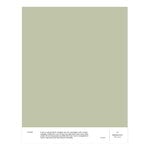 Cover Story Interior paint, 9 L, 027 HERMANN - pale green