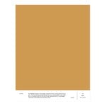 Cover Story Interior paint, 3,6 L, LB3 MIO - salty caramel