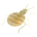 Fundamental Berlin Flatmates ornament, bedbug, brass