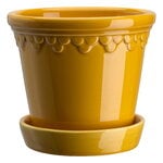 Bergs Potter Københavner kukkaruukku alusella, lasitettu amber yellow, tuotekuva