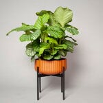 Elementa Klorofyll planter with stand, low, terracotta