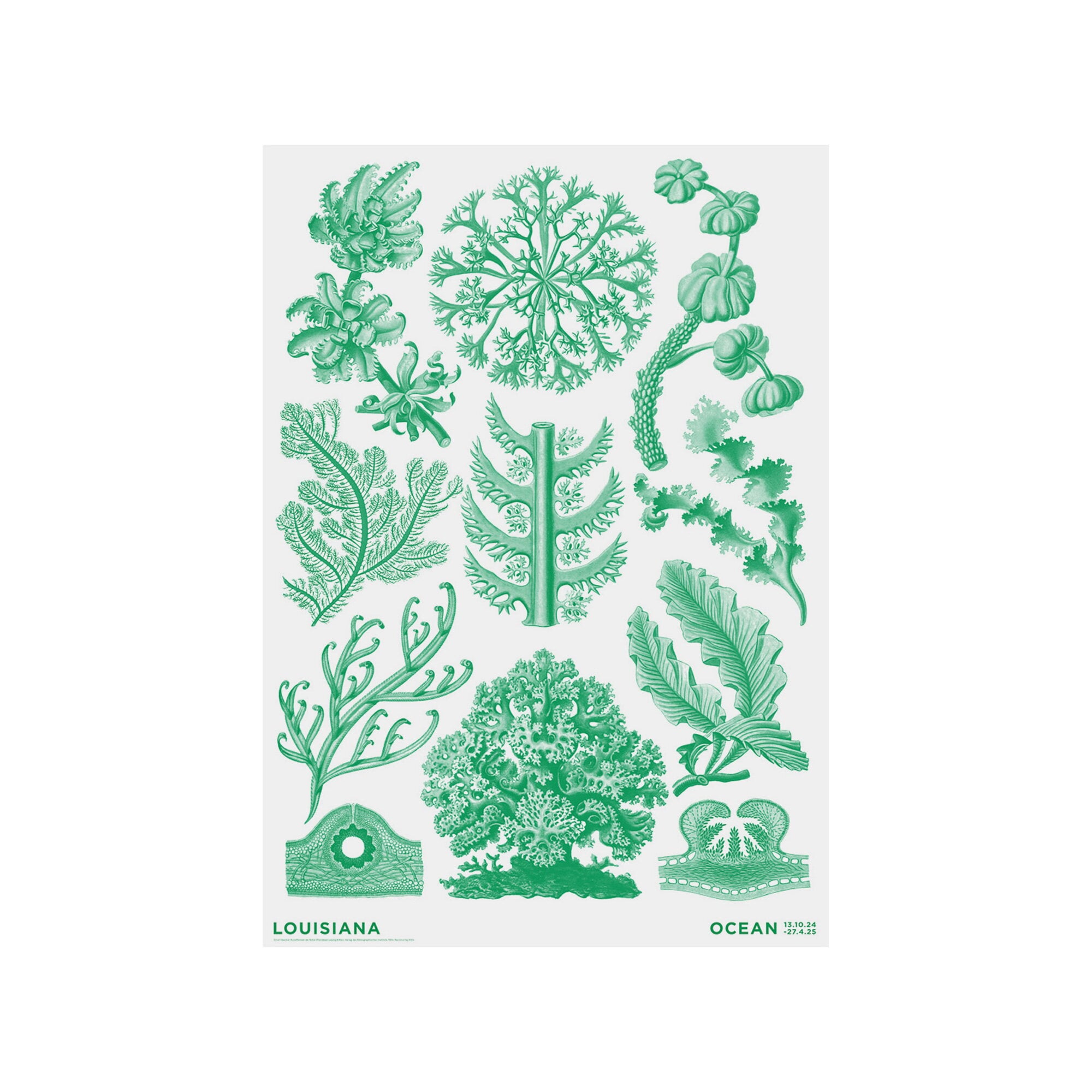 Louisiana Museum of Modern Art Haeckel - Florideae green - Ocean 2024 ...