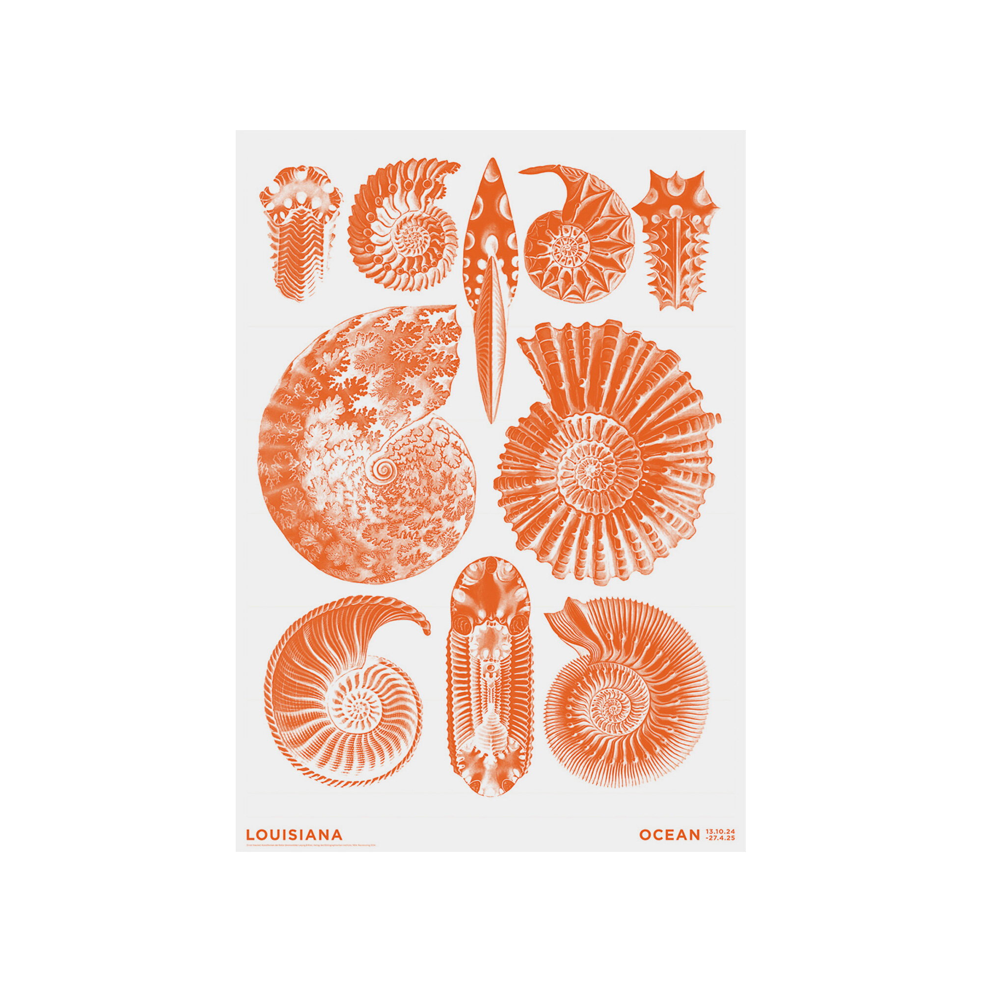 Louisiana Museum of Modern Art Haeckel - Ammonitida orange - Ocean 2024 ...