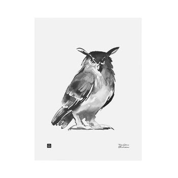 Teemu Järvi Illustrations Affiche Owl, 30 x 40 cm