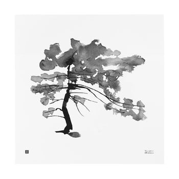 Teemu Järvi Illustrations Affiche Pine Tree, 50 x 50 cm