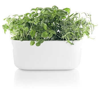 Eva Solo Vaso per erbe, autoinnaffiante, bianco, immagine prodotto