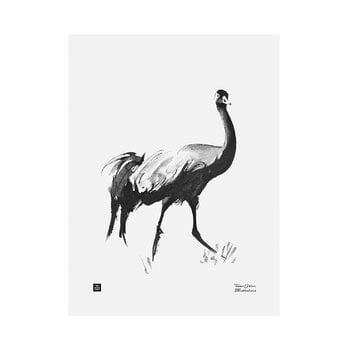 Teemu Järvi Illustrations Affiche Common Crane, 30 x 40 cm 