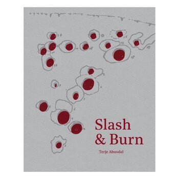 Arte, Terje Abusdal: Slash and Burn, Multicolore