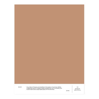 Cover Story Paint sample, 022 EVELYN - mid rose-brown