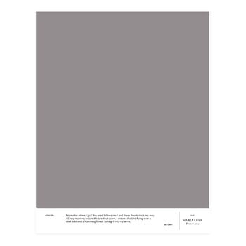 Cover Story Paint sample, 013 MARJA-LIISA - darkest grey