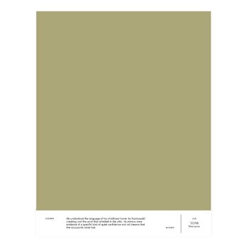 Cover Story Paint sample, 028 TONI - mud green