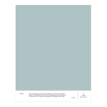 Paints, Paint sample,  016 TOVE - mid storm grey, Gray
