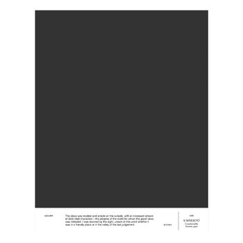 Cover Story Échantillon de peinture, 035 UMBERTO - gris-marron confortable