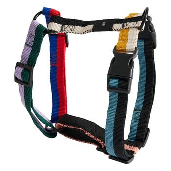Accessori per animali, HAY Guinzaglio Dogs, M, multicolore, Multicolore