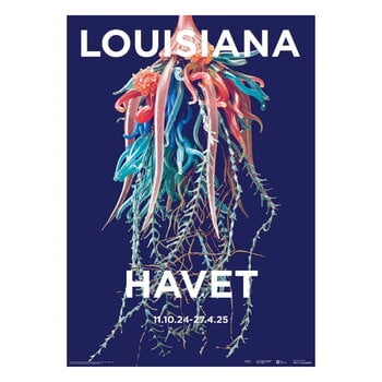 Louisiana Museum of Modern Art Mamma Andersson - Pond 2019, A1