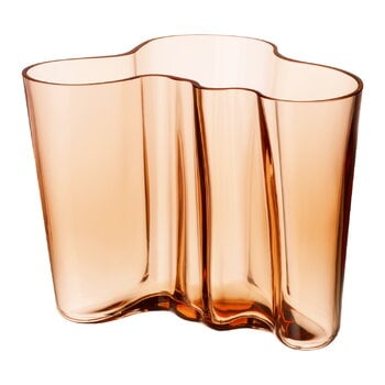 Iittala Aalto Vase, 160 mm, Riobraun