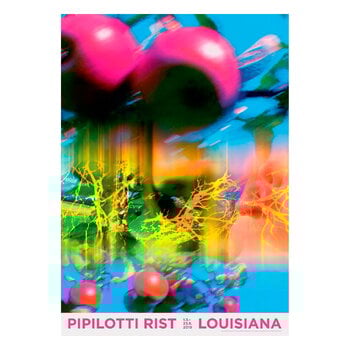 国内未入荷 Mamma Andersson Pond (2019) Poster Original Mamma Andersson Exhibition Poster - Pond - Museum