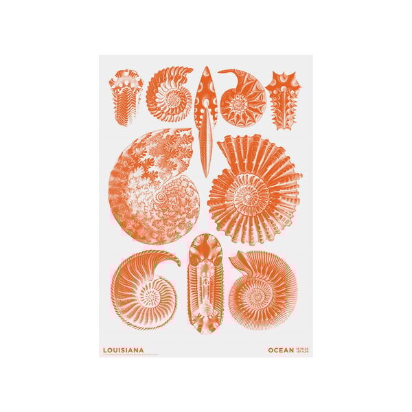 Louisiana Museum of Modern Art Haeckel - Ammonitida orange - Ocean 2024 ...