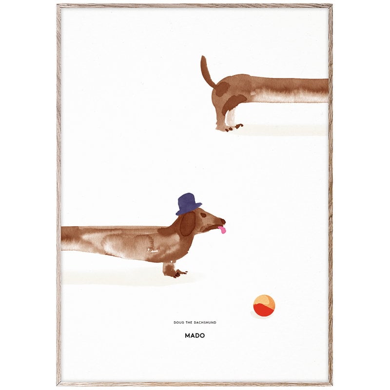 Uittreksel Tonen Geruïneerd MADO Doug the Dachshund poster, 50 x 70 cm | Finnish Design Shop